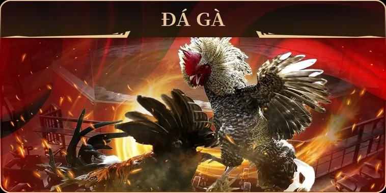 Hướng Dẫn Cách Chơi Đá Gà GA28 Tại EE88 Chi Tiết Từ A Đến Z 2 Hướng Dẫn Cách Chơi Đá Gà GA28 Tại EE88 Chi Tiết Từ A Đến Z