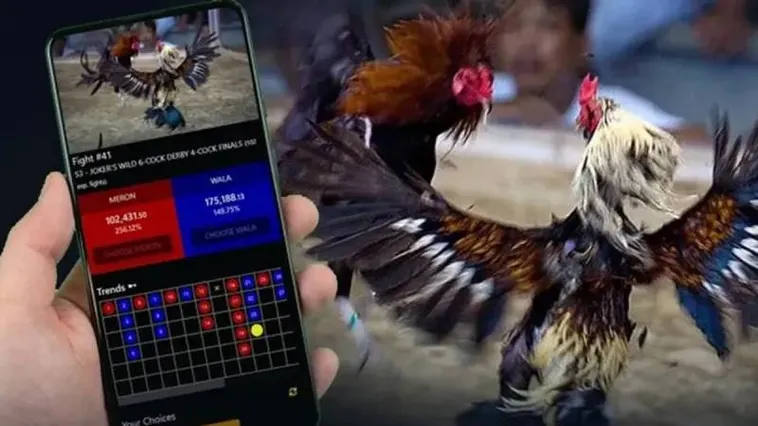 Đá Gà EE88 Bùng Nổ Với Hơn 100 Trận Đấu Mỗi Ngày Cực Hấp Dẫn 1 Đá Gà EE88 Bùng Nổ Với Hơn 100 Trận Đấu Mỗi Ngày Cực Hấp Dẫn