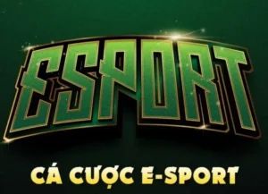 Bật Mí Cách Chơi Thể Thao Điện Tử Tại EE88 Thắng Lớn 4 Bật Mí Cách Chơi Thể Thao Điện Tử Tại EE88 Thắng Lớn